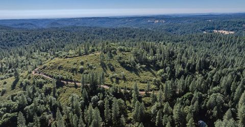 Silver Point, Pioneer, CA 95666 Photo