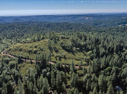 Silver Point, Pioneer, CA 95666 Photo