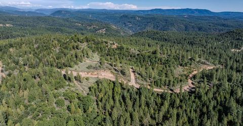 Silver Point, Pioneer, CA 95666 Photo
