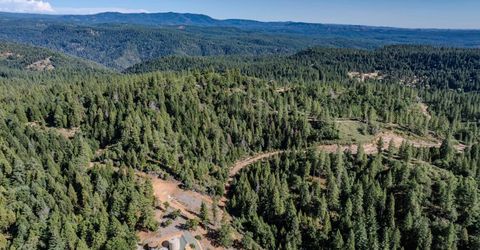 Silver Point, Pioneer, CA 95666 Photo