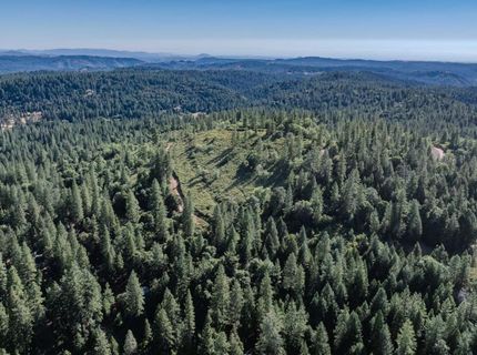 Silver Point, Pioneer, CA 95666 Photo