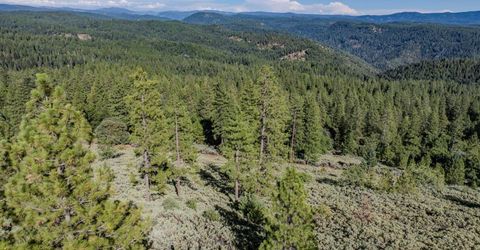 Silver Point, Pioneer, CA 95666 Photo