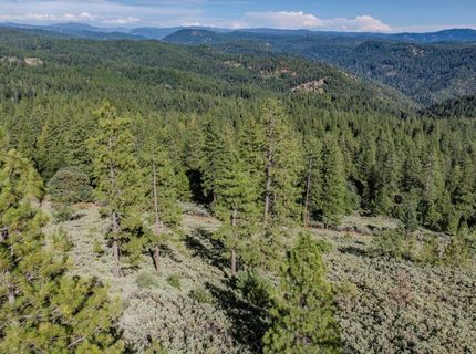 Silver Point, Pioneer, CA 95666 Photo