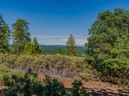 Silver Point, Pioneer, CA 95666 Photo