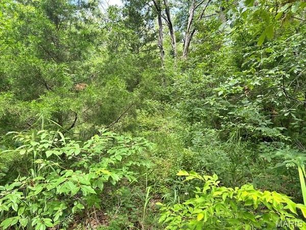 595 Utica Drive , Bismarck, MO 63624