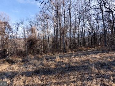 TBD OVERLOOK MOUNTAIN RD , ELKTON, VA 22827