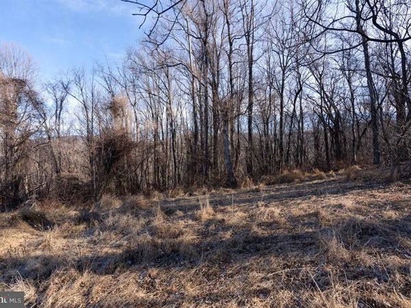 TBD OVERLOOK MOUNTAIN RD, ELKTON, VA 22827