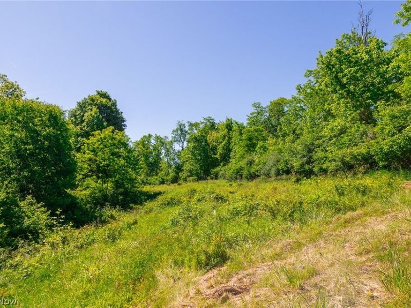 84143 Gilmore Ridge Road , Cadiz, OH 43907 Photo 10