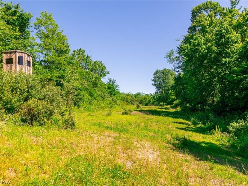 84143 Gilmore Ridge Road , Cadiz, OH 43907 Photo 11