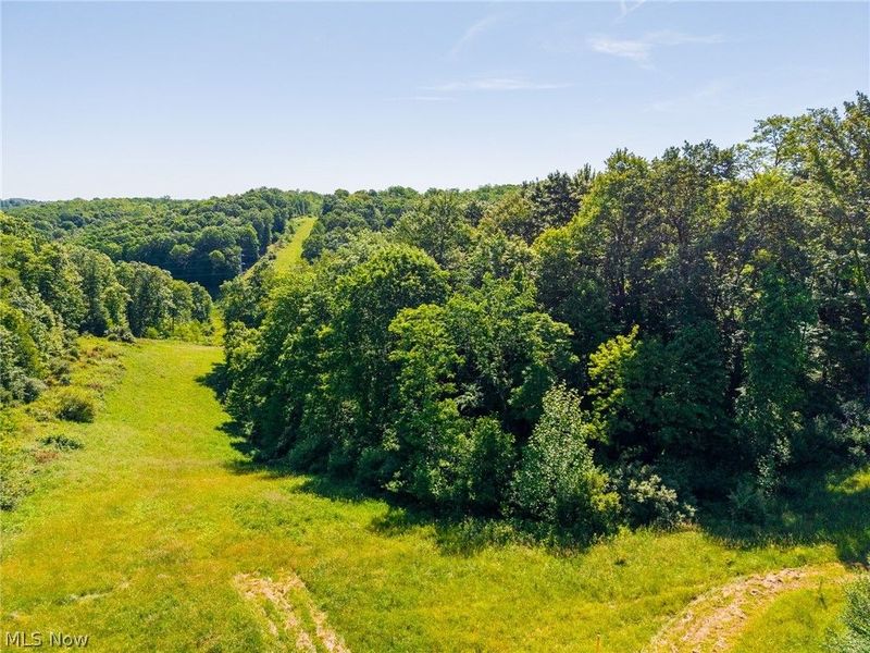 84143 Gilmore Ridge Road , Cadiz, OH 43907 Photo 13