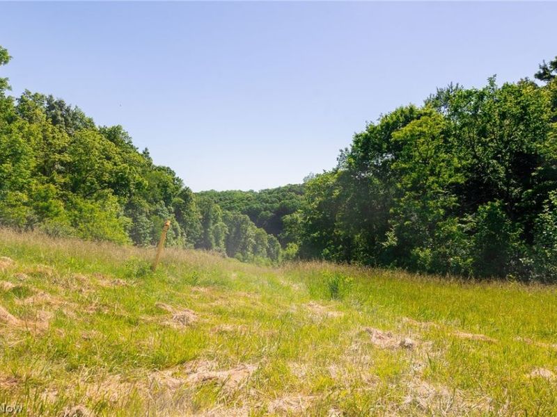 84143 Gilmore Ridge Road , Cadiz, OH 43907 Photo 3