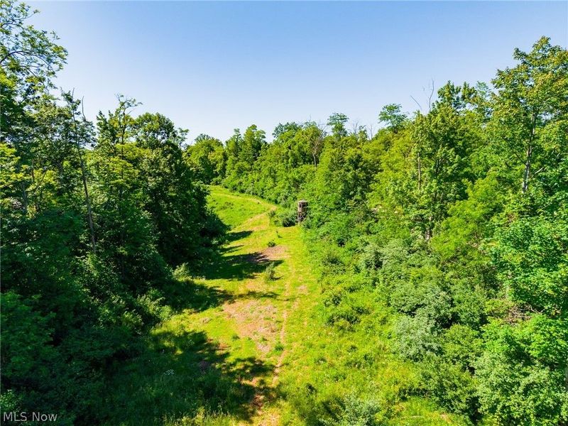 84143 Gilmore Ridge Road , Cadiz, OH 43907 Photo 32