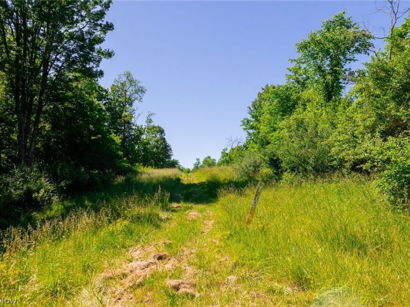 84143 Gilmore Ridge Road , Cadiz, OH 43907 Photo 4