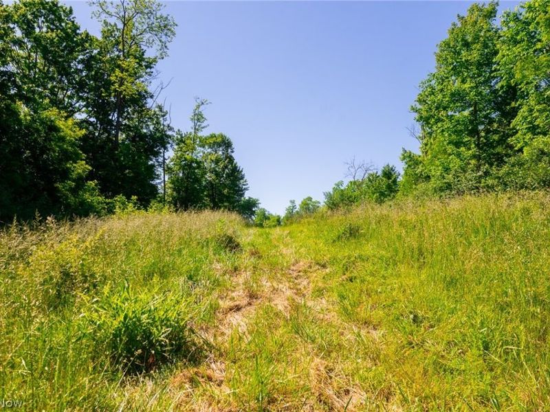 84143 Gilmore Ridge Road , Cadiz, OH 43907 Photo 5