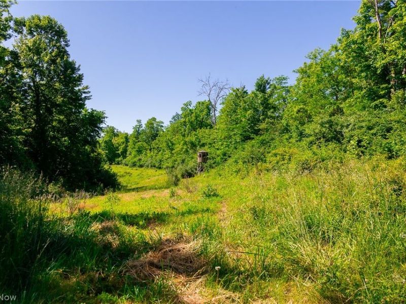 84143 Gilmore Ridge Road , Cadiz, OH 43907 Photo 6