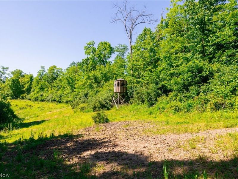 84143 Gilmore Ridge Road , Cadiz, OH 43907 Photo 7
