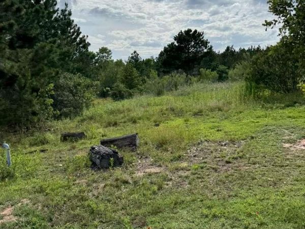 109 Pintail LN , Paige, TX 78659