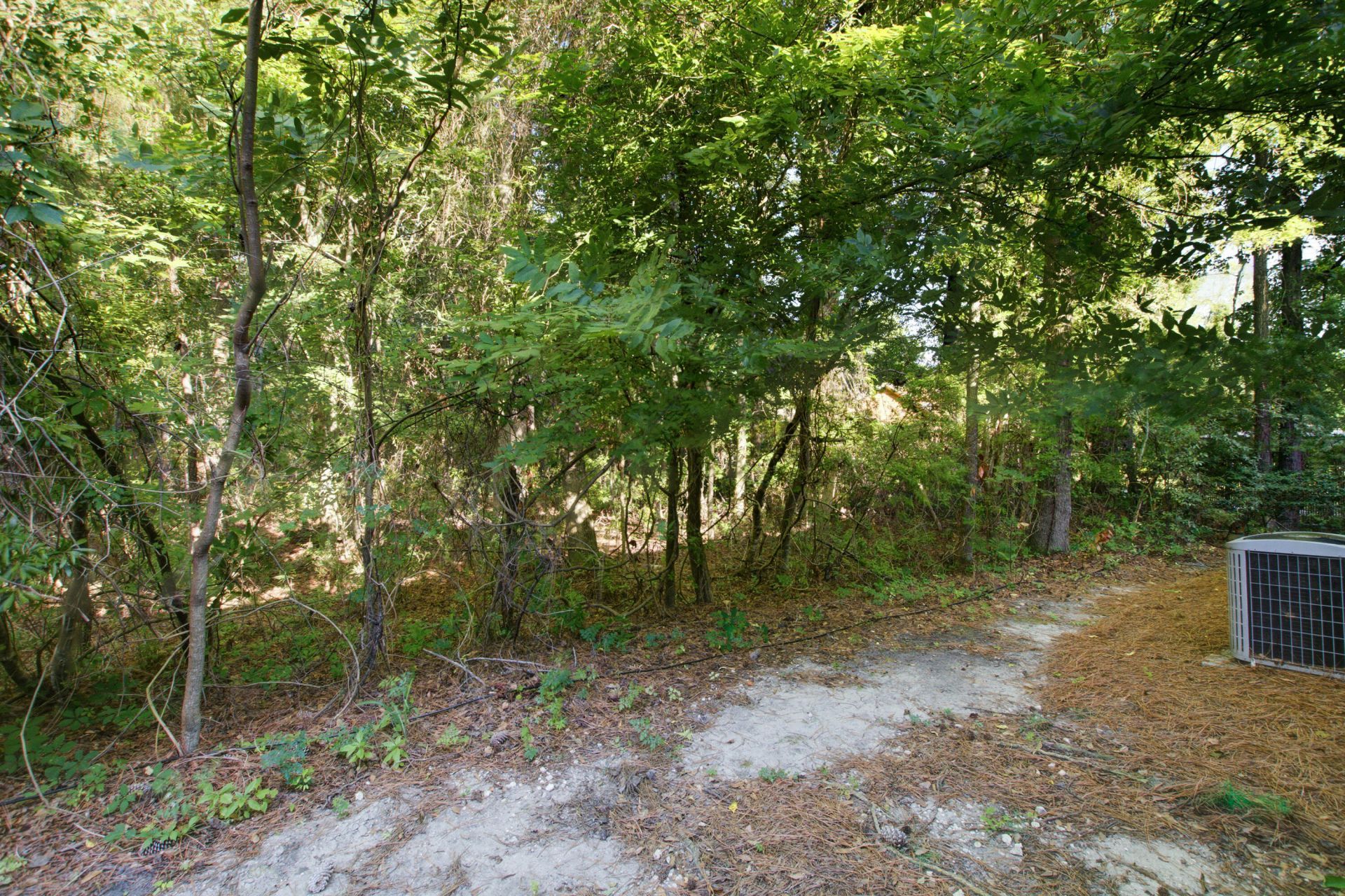 1204 Pine Bluff Drive Photo 30