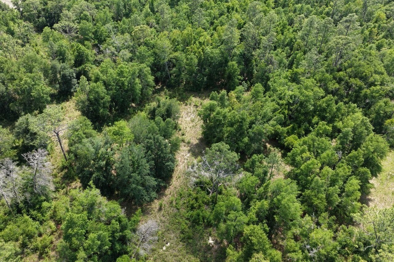 Vacant SE Camelot Way , Lee, FL 32059 Photo