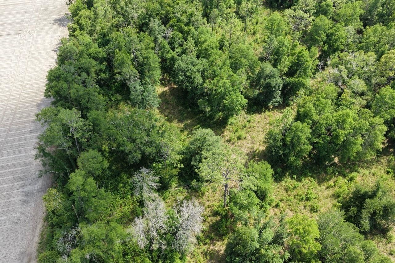 Vacant SE Camelot Way , Lee, FL 32059 Photo