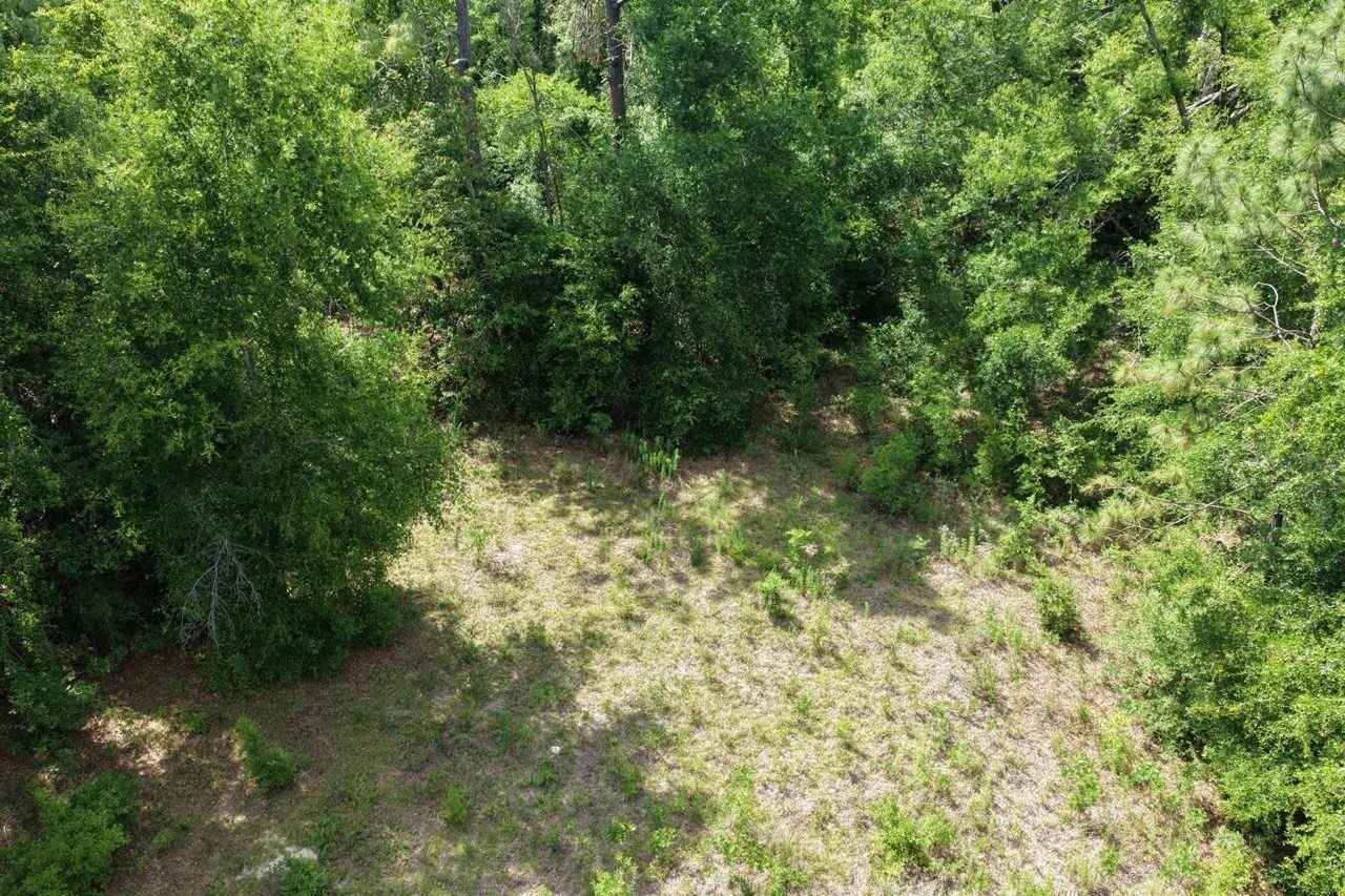 Vacant SE Camelot Way , Lee, FL 32059 Photo