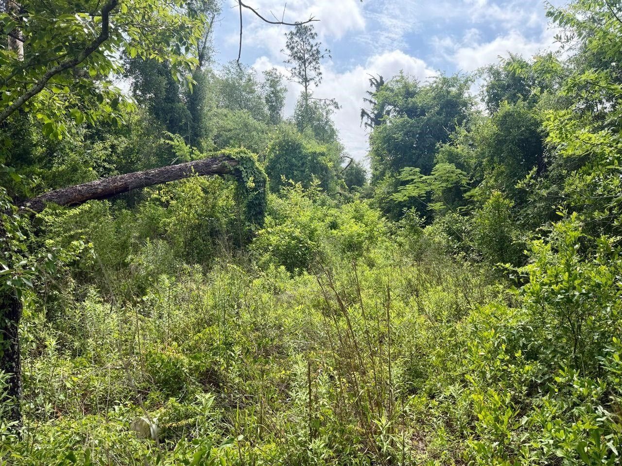 Vacant SE Camelot Way , Lee, FL 32059 Photo