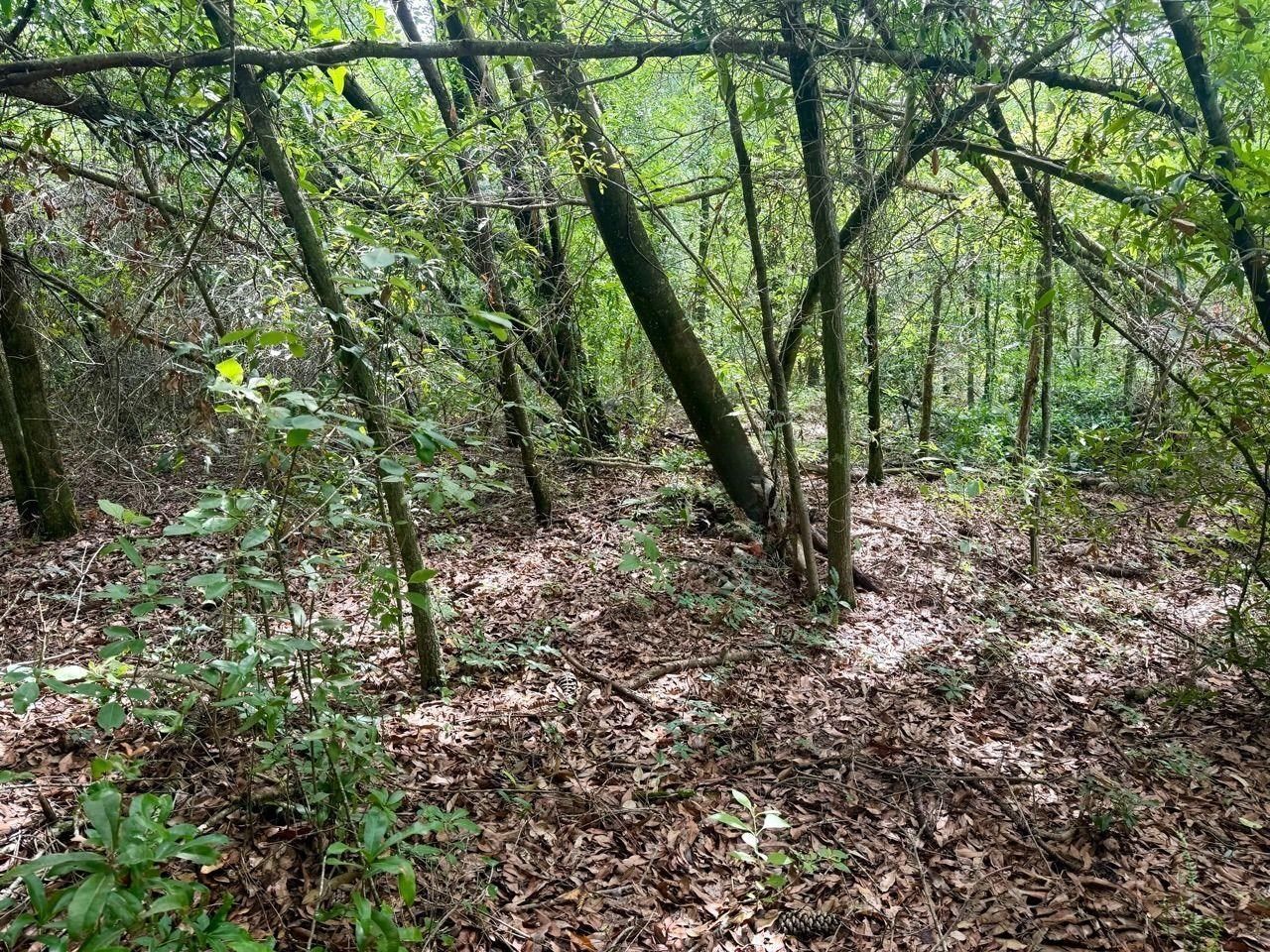 Vacant SE Camelot Way , Lee, FL 32059 Photo