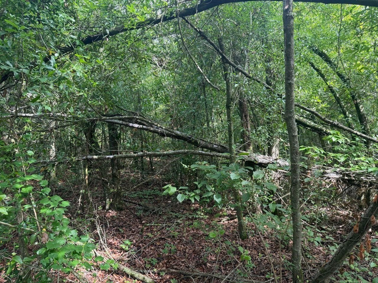 Vacant SE Camelot Way , Lee, FL 32059 Photo