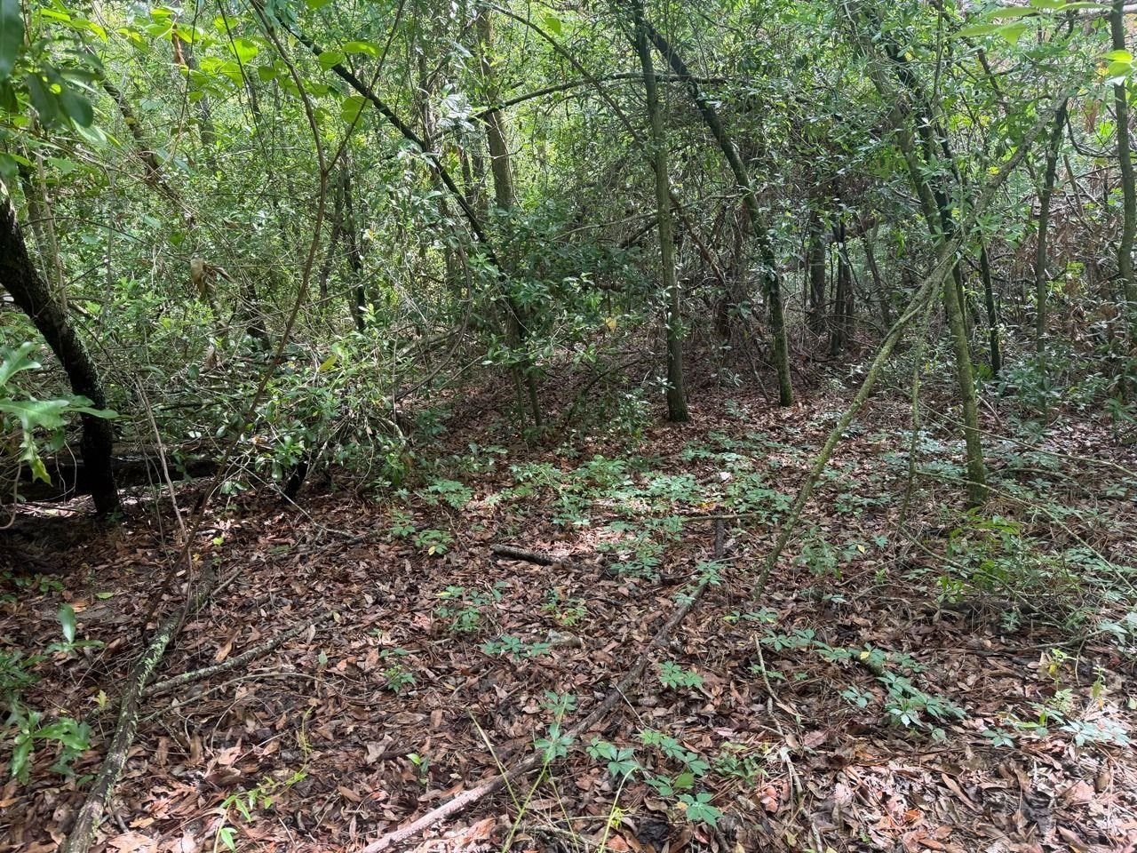 Vacant SE Camelot Way , Lee, FL 32059 Photo