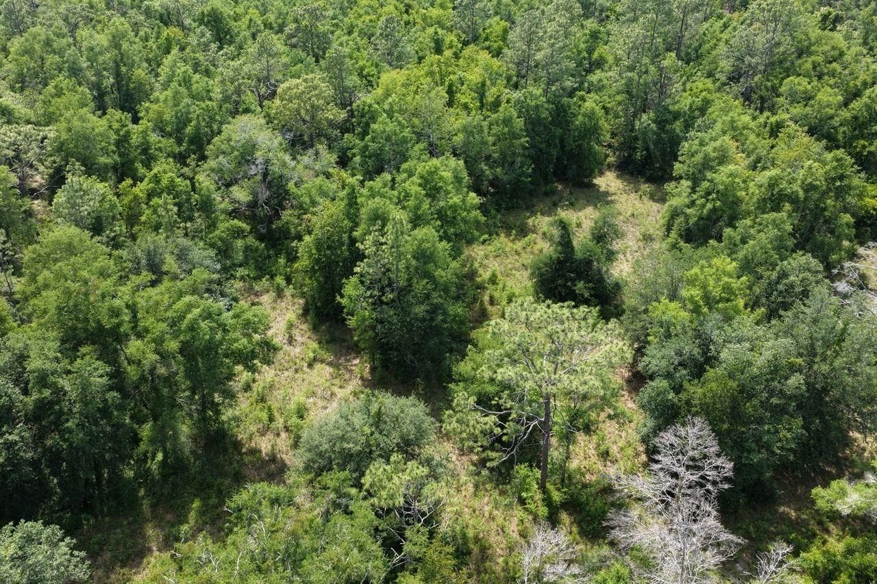 Vacant SE Camelot Way , Lee, FL 32059 Photo