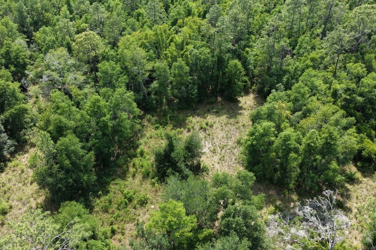 Vacant SE Camelot Way , Lee, FL 32059 Photo