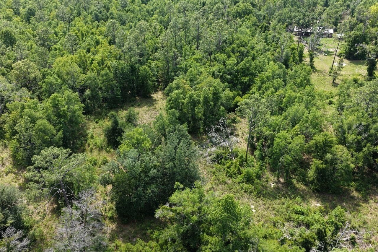 Vacant SE Camelot Way , Lee, FL 32059 Photo