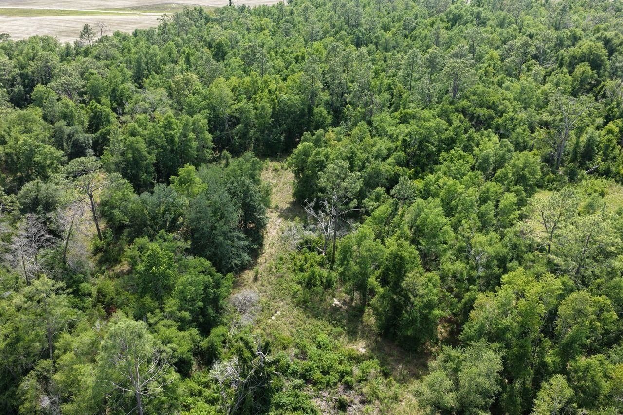 Vacant SE Camelot Way , Lee, FL 32059 Photo