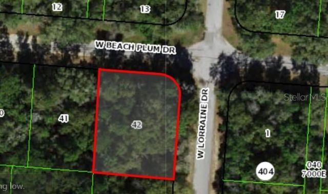 1920 W Beach Plum Drive, Citrus Springs, FL 34434 Main Photo