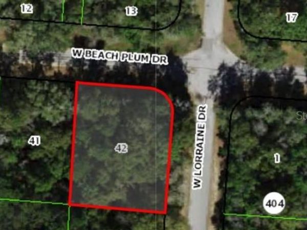 1920 W BEACH PLUM DRIVE , CITRUS SPRINGS, FL 34434