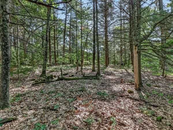 VL W Michigan Road, Unit B, Twin Lake, MI 49457