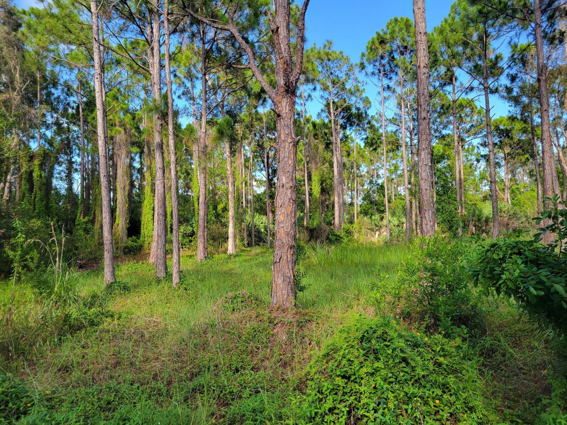 00 Shanas Trail, Port Saint Lucie, FL 34952 Photo