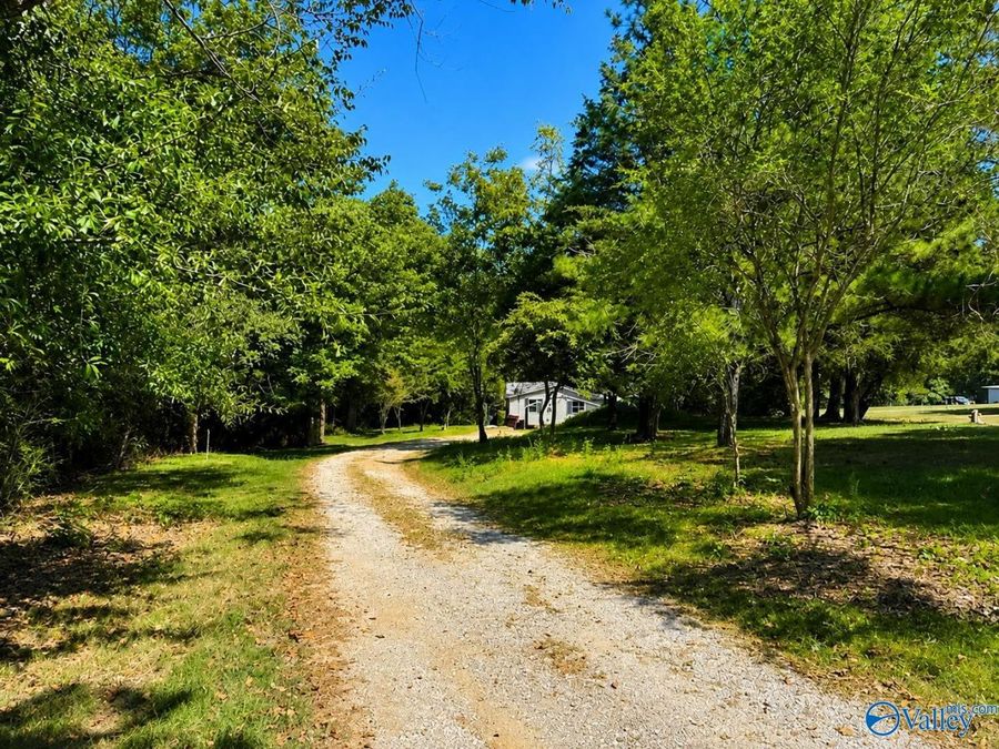 Property Image 32