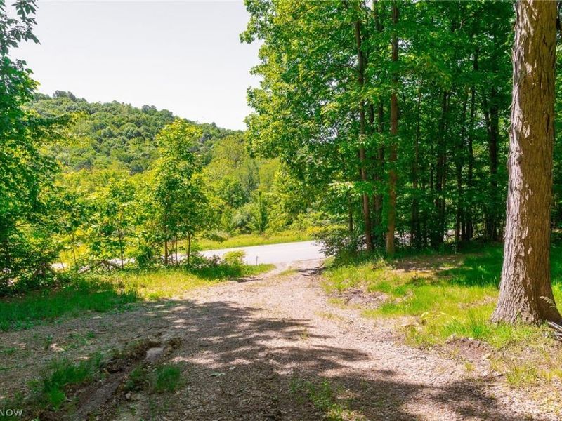 6257 Caddy Road SW, Bowerston, OH 44695 Photo 12