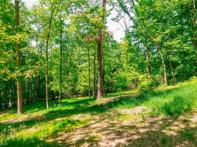 6257 Caddy Road SW, Bowerston, OH 44695 Photo 34