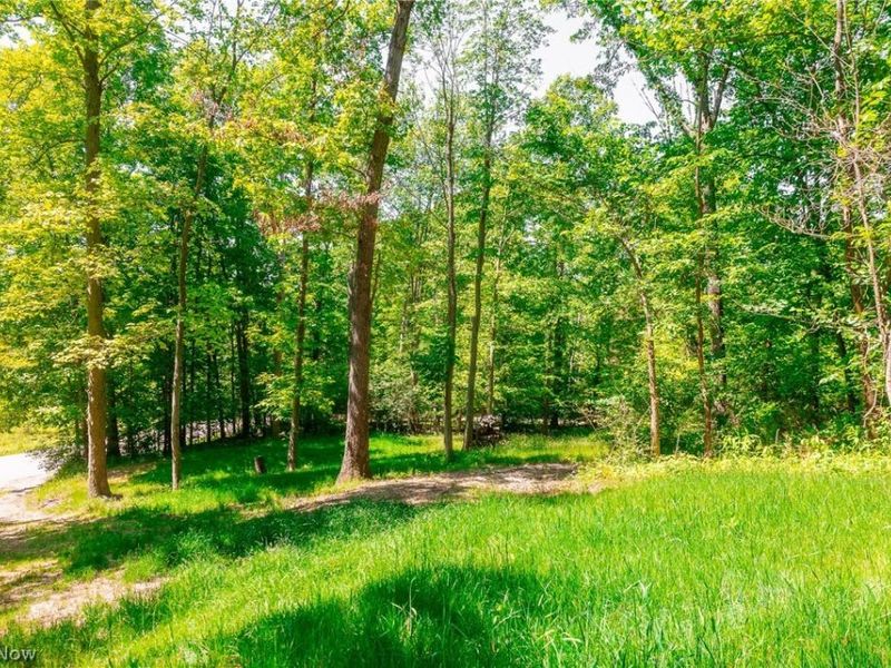 6257 Caddy Road SW, Bowerston, OH 44695 Photo 35