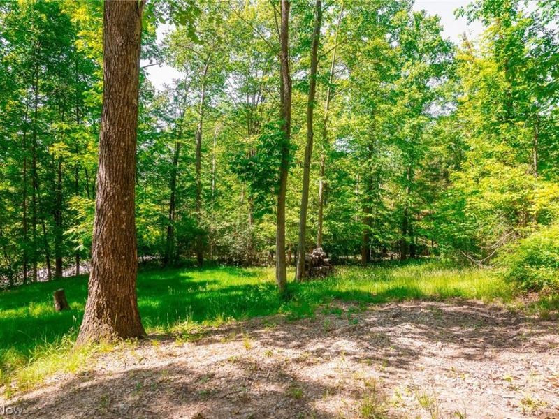 6257 Caddy Road SW, Bowerston, OH 44695 Photo 37