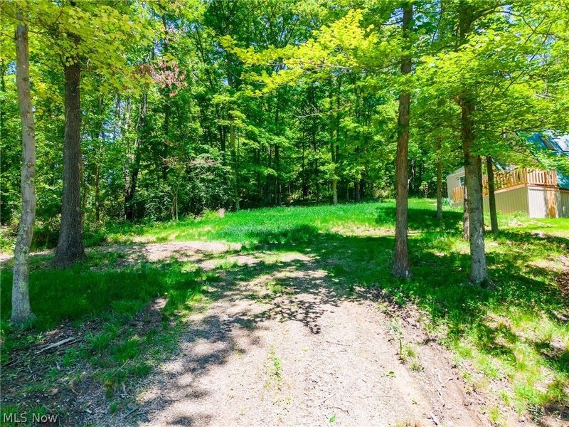 6257 Caddy Road SW, Bowerston, OH 44695 Photo 39