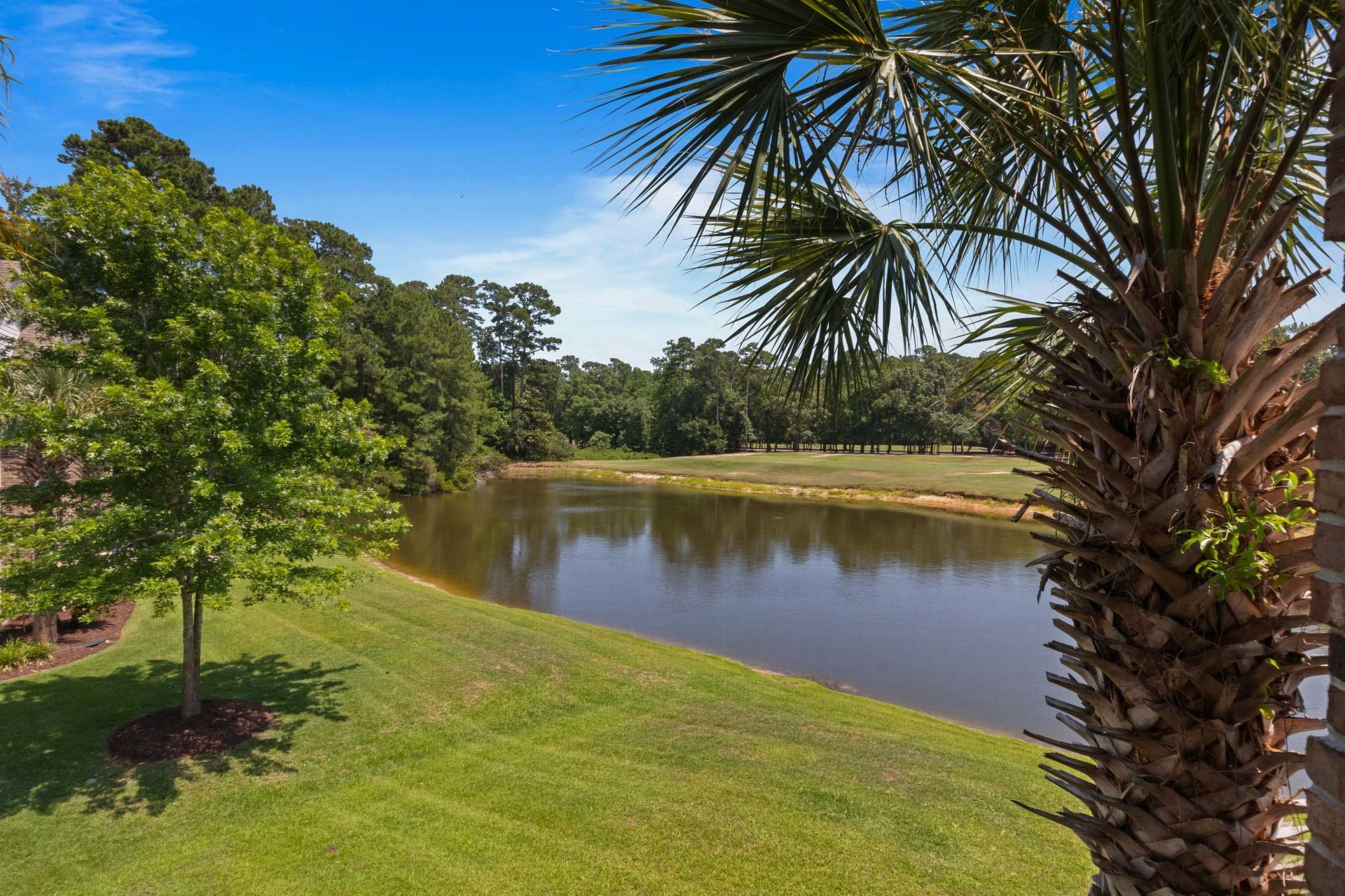 4649 Fringetree Dr.  Photo 19
