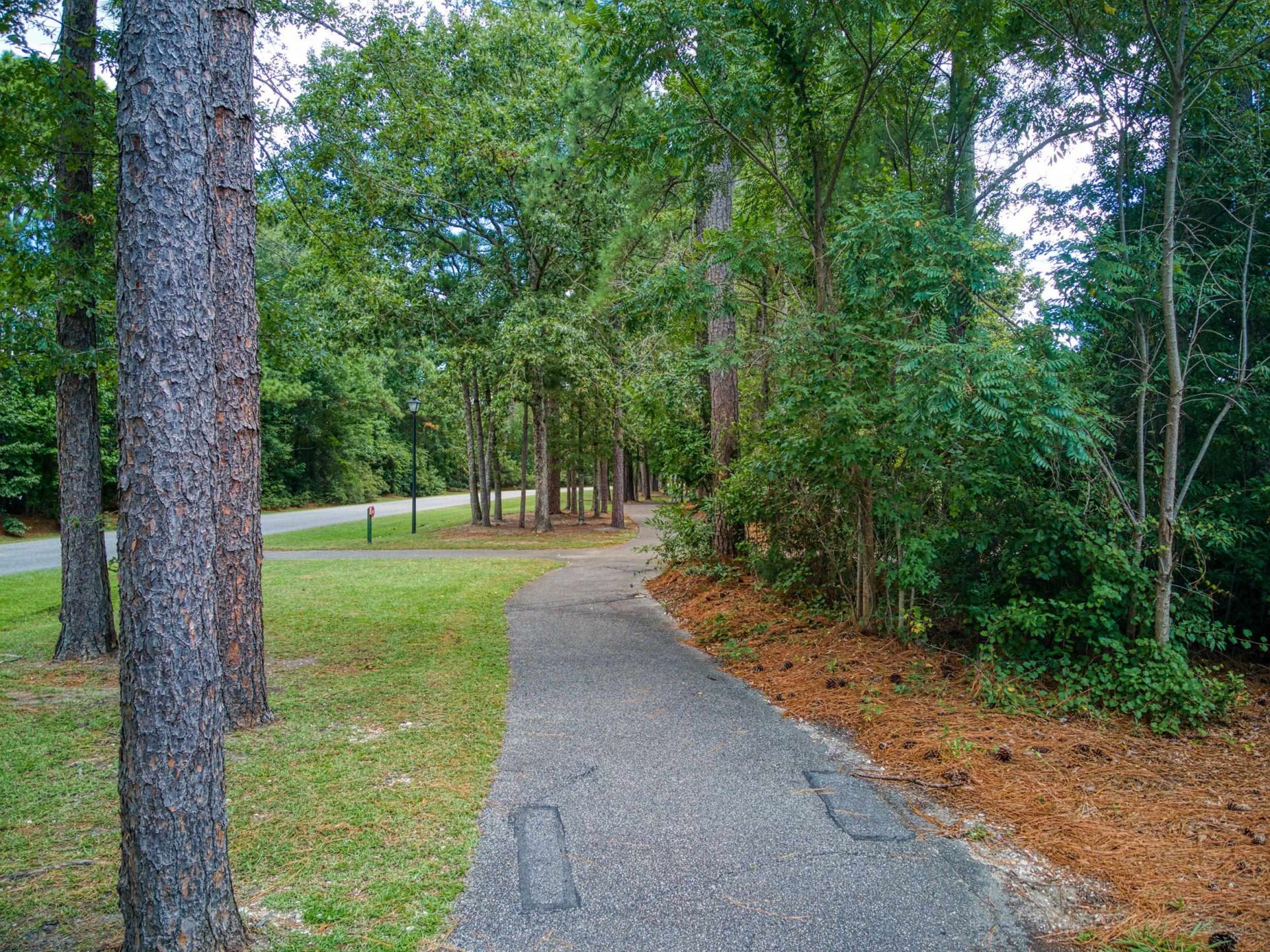 4649 Fringetree Dr.  Photo 26