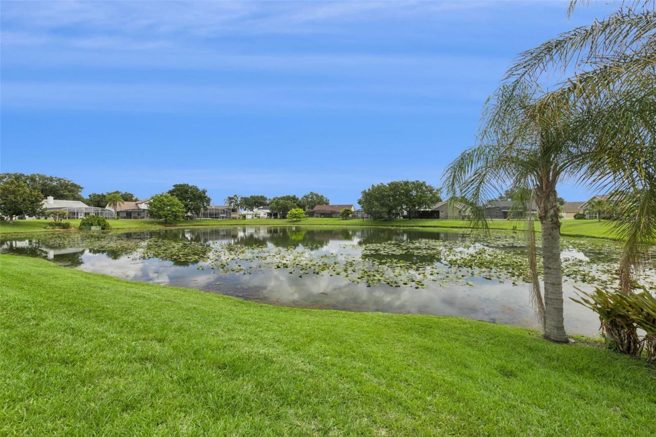 14319 Roxshire Drive, Orlando, FL 32837 Photo