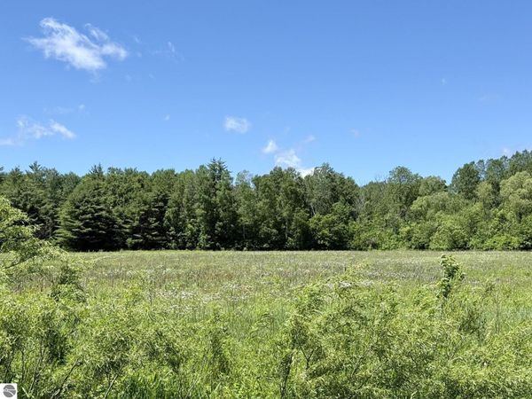 5th Avenue, Marion, MI 49665