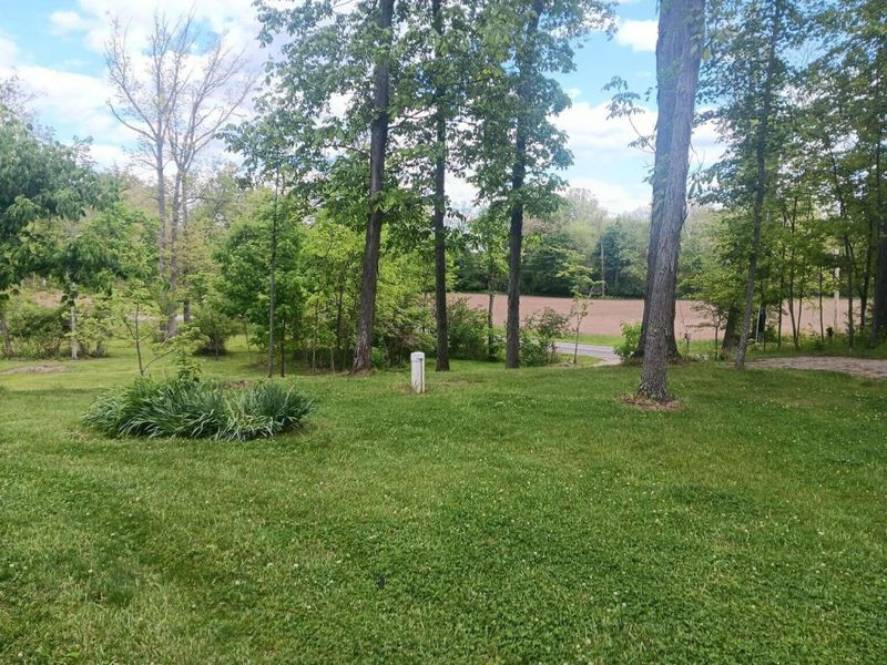 9930 Old Tarlton Pike , Stoutsville, OH 43154 Photo 4