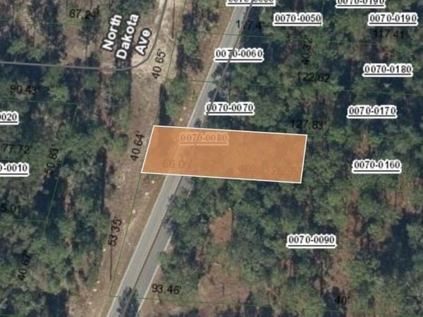 0 N DAKOTA Avenue, Hawthorne, FL 32640