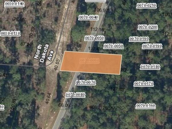 0 N DAKOTA Avenue, Hawthorne, FL 32640